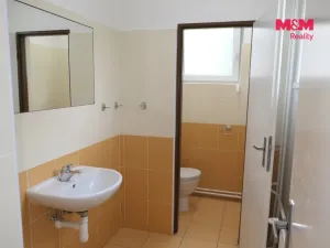 Pronájem kanceláře, Králův Dvůr, V Lukách, 200 m2