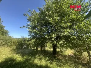 Prodej zahrady, Hranice - Hranice I-Město, 901 m2