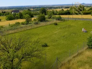 Prodej pozemku pro bydlení, Žitenice, Skalická, 933 m2