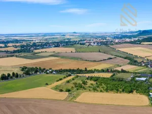 Prodej sadu/vinice, Žitenice, Skalická, 933 m2
