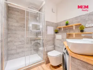 Prodej bytu 1+kk, Horní Bříza, U Vrbky, 22 m2