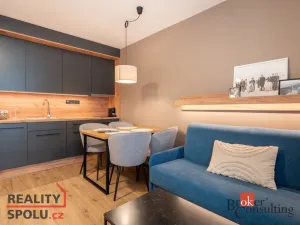 Prodej bytu 2+kk, Černý Důl, 47 m2