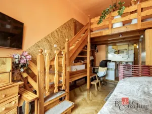 Prodej bytu 1+kk, Praha - Nusle, Spytihněvova, 24 m2