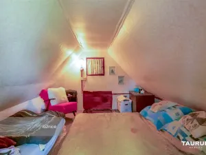 Prodej chaty, Stříbro - Butov, 85 m2