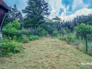 Prodej chaty, Stříbro - Butov, 85 m2