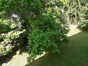 Prodej bytu 3+1, Průhonice, Říčanská, 171 m2