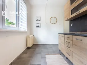 Prodej bytu 2+1, Litvínov, Podkrušnohorská, 56 m2