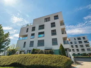 Prodej bytu 1+1, Brno, Karla Kryla, 31 m2