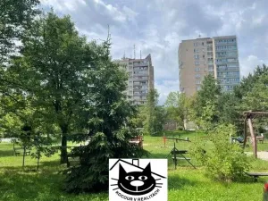 Pronájem bytu 1+1, Příbram - Příbram VIII, Čechovská, 44 m2