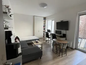 Pronájem bytu 1+kk, Brno - Zábrdovice, Francouzská, 30 m2