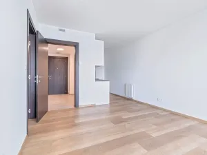 Pronájem bytu 2+kk, Olomouc, Třída Jiřího Pelikána, 46 m2