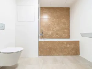 Pronájem bytu 2+kk, Olomouc, Třída Jiřího Pelikána, 46 m2