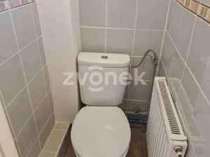 Prodej bytu 2+1, Staré Město, Finská čtvrť, 68 m2