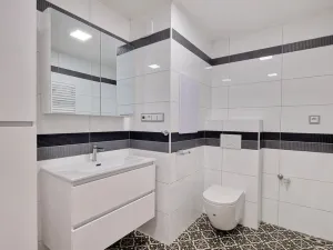 Pronájem bytu 3+kk, Litoměřice - Předměstí, U Katovny, 66 m2