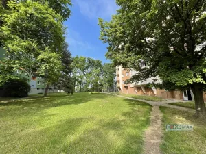 Pronájem bytu 3+1, Hodonín, Lesní, 74 m2