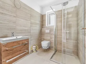 Prodej rodinného domu, Nemyslovice, 145 m2