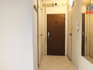 Prodej bytu 3+1, České Budějovice, Dobrovodská, 82 m2