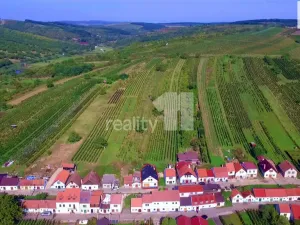 Prodej ubytování, Bořetice, 183 m2