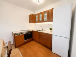 Pronájem bytu 2+kk, Praha - Vysočany, Sousedíkova, 60 m2