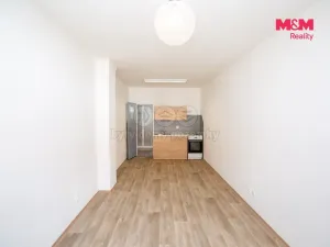 Pronájem bytu 1+kk, Jindřichův Hradec - Jindřichův Hradec III, Václavská, 24 m2