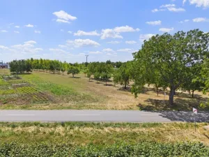 Prodej pozemku pro bydlení, Vrbice, 971 m2
