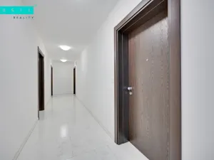 Pronájem bytu 2+kk, Olomouc - Nová Ulice, Třída Jiřího Pelikána, 55 m2