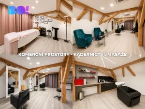 Prodej obchodního prostoru, Brno - Bystrc, náměstí 28. dubna, 950 m2
