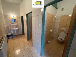 Prodej výrobních prostor, Dolní Břežany, Ke Zvoli, 1598 m2
