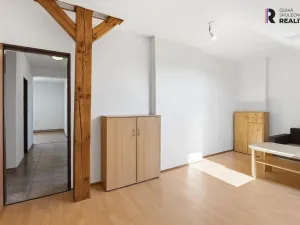 Prodej bytu 3+1, Železná, 75 m2