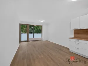 Pronájem bytu 2+kk, Plzeň - Východní Předměstí, 55 m2