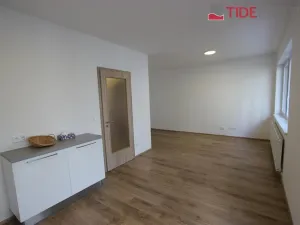 Pronájem bytu 1+kk, Praha, Štěchovická, 40 m2