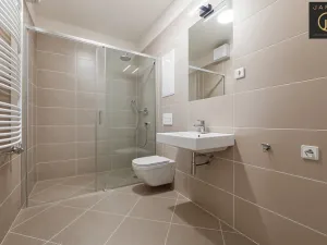 Prodej bytu 2+kk, Praha - Vinohrady, Mánesova, 37 m2