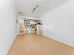 Pronájem bytu 1+kk, Zlín, Podlesí II, 27 m2