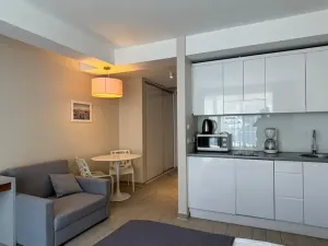 Prodej bytu 1+kk, Dolní Morava, 27 m2