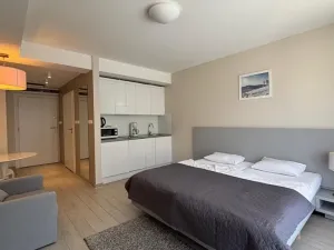 Prodej bytu 1+kk, Dolní Morava, 27 m2