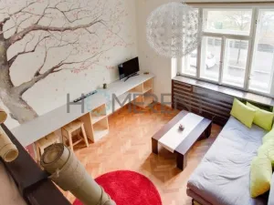 Pronájem bytu 1+kk, Praha - Nusle, Sekaninova, 35 m2