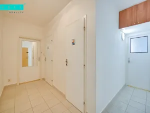 Pronájem bytu 1+1, Olomouc - Nové Sady, Handkeho, 50 m2