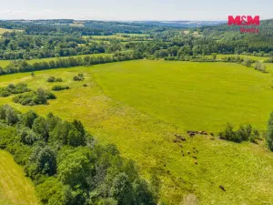 Prodej louky, Nové Mitrovice, 11703 m2