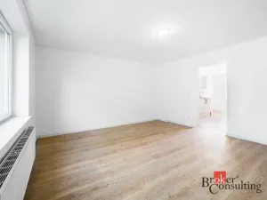 Prodej bytu 1+1, Frýdek-Místek - Frýdek, Křižíkova, 45 m2