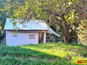 Prodej chaty, Letovice, 7 m2
