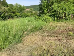 Prodej zahrady, Tvrdonice, Lesní, 8790 m2