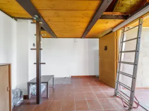 Prodej chaty, Ostrov - Dolní Žďár, 21 m2