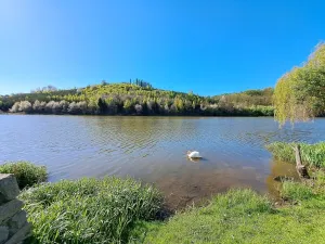 Prodej zemědělské usedlosti, Budeč, 935 m2