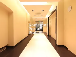 Pronájem restaurace, Praha - Nové Město, Václavské náměstí, 309 m2