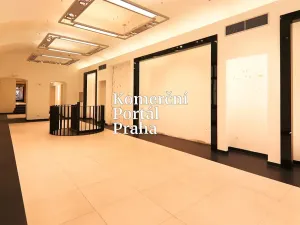Pronájem obchodního prostoru, Praha - Nové Město, Václavské náměstí, 309 m2