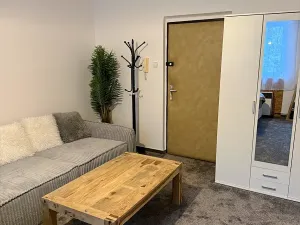 Pronájem bytu 1+1, Karlovy Vary, Moskevská, 40 m2