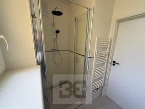 Pronájem bytu 1+1, Praha - Smíchov, Plzeňská, 44 m2
