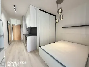Pronájem bytu 1+kk, Brno, Dornych, 34 m2