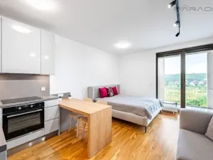 Prodej bytu 1+kk, Praha - Modřany, Mezi vodami, 31 m2