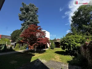 Pronájem rodinného domu, Pardubice - Bílé Předměstí, Na Okrouhlíku, 290 m2